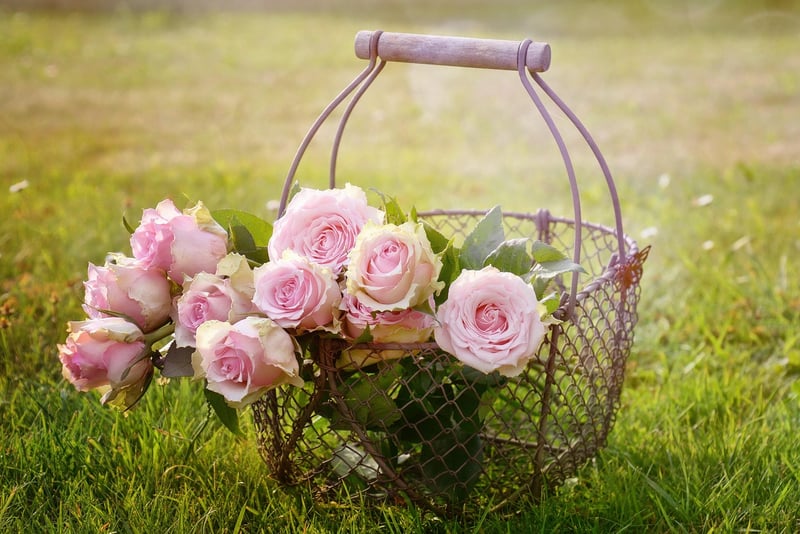 Hanging Garden Baskets