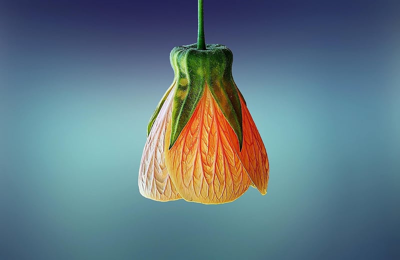 Indoor Hanging Plant Shelves